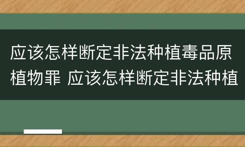 应该怎样断定非法种植毒品原植物罪 应该怎样断定非法种植毒品原植物罪