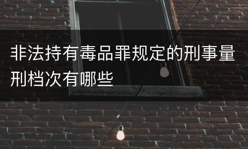 非法持有毒品罪规定的刑事量刑档次有哪些