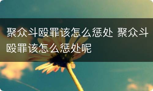 聚众斗殴罪该怎么惩处 聚众斗殴罪该怎么惩处呢