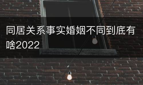 同居关系事实婚姻不同到底有啥2022