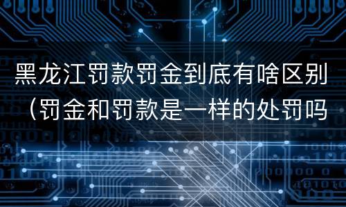 黑龙江罚款罚金到底有啥区别（罚金和罚款是一样的处罚吗）