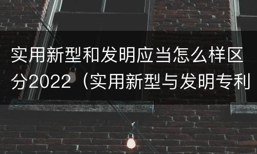 实用新型和发明应当怎么样区分2022（实用新型与发明专利的区别有哪些）