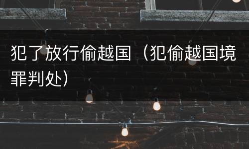 犯了放行偷越国(犯偷越国境罪判处)