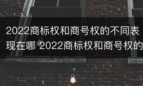 2022商标权和商号权的不同表现在哪 2022商标权和商号权的不同表现在哪几个方面