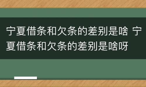 宁夏借条和欠条的差别是啥 宁夏借条和欠条的差别是啥呀