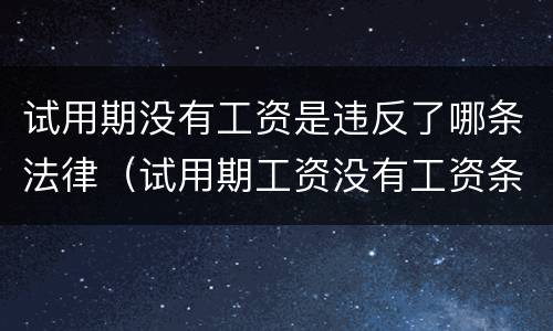 试用期没有工资是违反了哪条法律（试用期工资没有工资条违法吗）