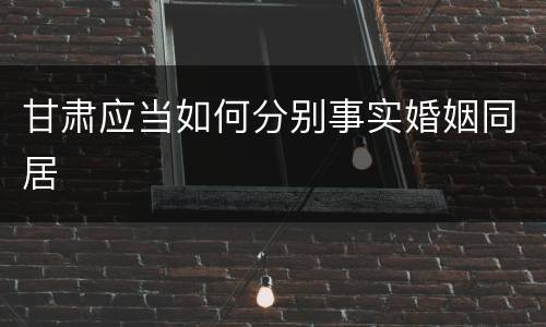 甘肃应当如何分别事实婚姻同居
