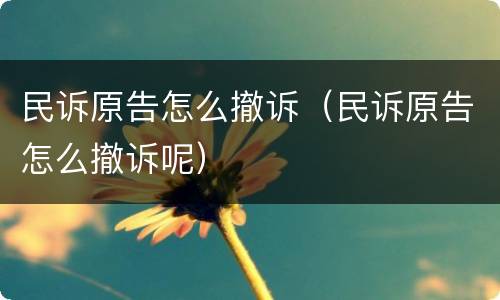 民诉原告怎么撤诉（民诉原告怎么撤诉呢）