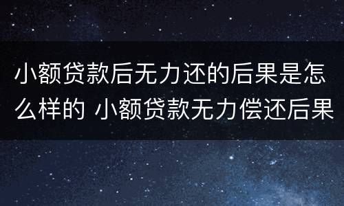 小额贷款后无力还的后果是怎么样的 小额贷款无力偿还后果