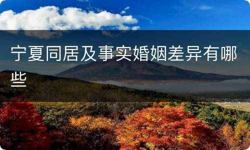 宁夏同居及事实婚姻差异有哪些