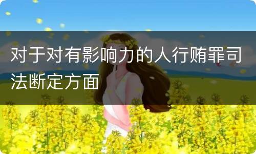 对于对有影响力的人行贿罪司法断定方面