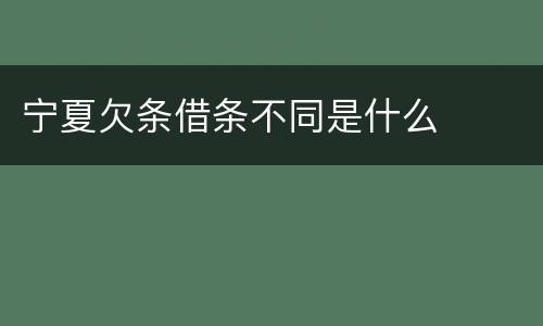 宁夏欠条借条不同是什么