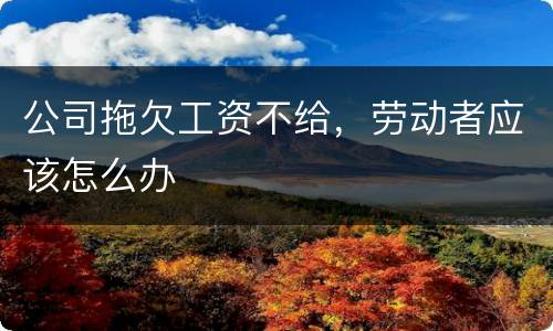 公司拖欠工资不给，劳动者应该怎么办