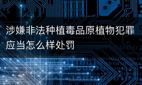涉嫌非法种植毒品原植物犯罪应当怎么样处罚