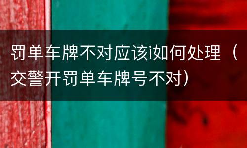 罚单车牌不对应该i如何处理（交警开罚单车牌号不对）