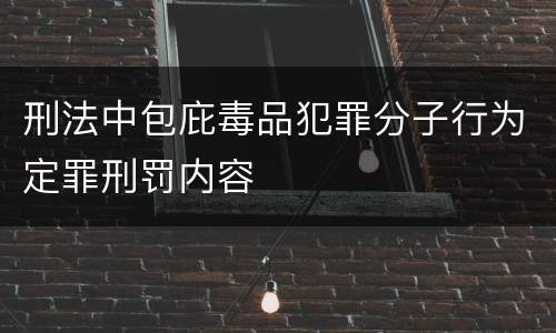 刑法中包庇毒品犯罪分子行为定罪刑罚内容
