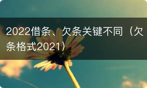 2022借条、欠条关键不同（欠条格式2021）