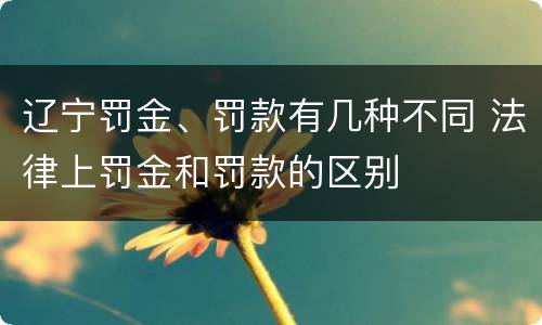 辽宁罚金、罚款有几种不同 法律上罚金和罚款的区别