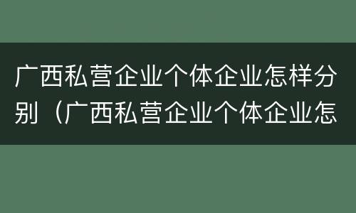 广西私营企业个体企业怎样分别（广西私营企业个体企业怎样分别纳税）