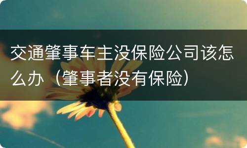 交通肇事车主没保险公司该怎么办（肇事者没有保险）