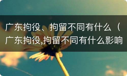 广东拘役、拘留不同有什么（广东拘役,拘留不同有什么影响）