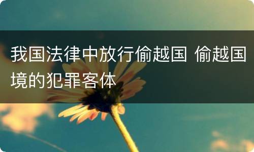 我国法律中放行偷越国 偷越国境的犯罪客体