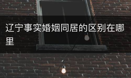 辽宁事实婚姻同居的区别在哪里