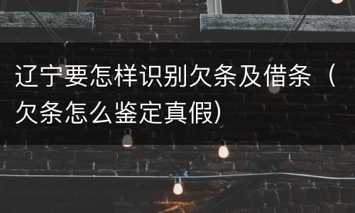 辽宁要怎样识别欠条及借条（欠条怎么鉴定真假）