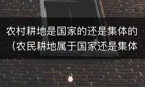 农村耕地是国家的还是集体的（农民耕地属于国家还是集体）
