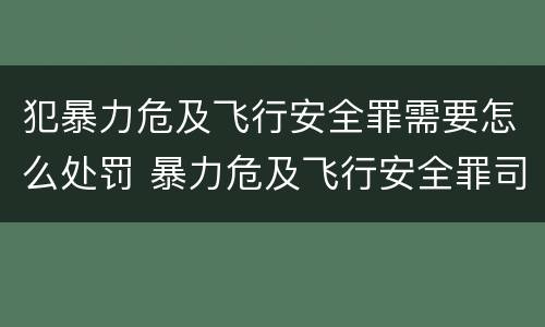 犯暴力危及飞行安全罪需要怎么处罚 暴力危及飞行安全罪司法解释