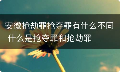 安徽抢劫罪抢夺罪有什么不同 什么是抢夺罪和抢劫罪