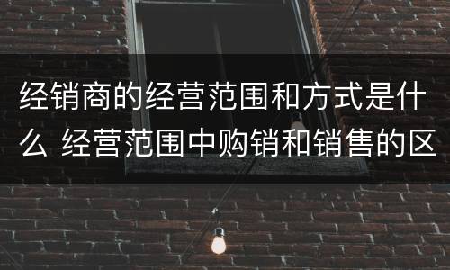 经销商的经营范围和方式是什么 经营范围中购销和销售的区别