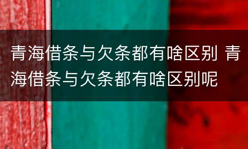 青海借条与欠条都有啥区别 青海借条与欠条都有啥区别呢