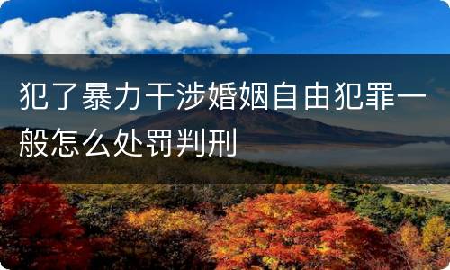 犯了暴力干涉婚姻自由犯罪一般怎么处罚判刑