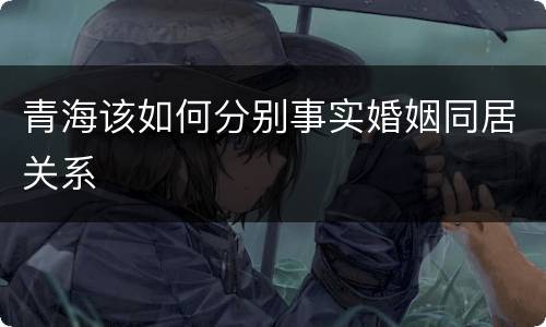 青海该如何分别事实婚姻同居关系