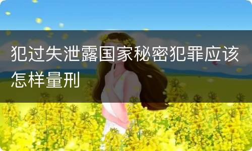 犯过失泄露国家秘密犯罪应该怎样量刑