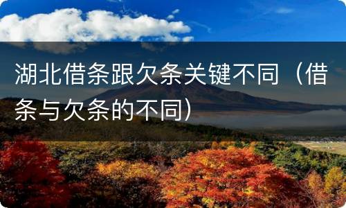 湖北借条跟欠条关键不同（借条与欠条的不同）
