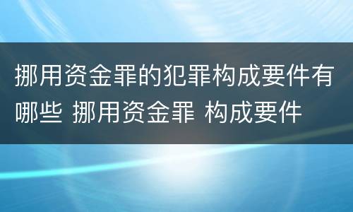 挪用资金罪的犯罪构成要件有哪些 挪用资金罪 构成要件