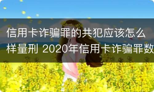 信用卡诈骗罪的共犯应该怎么样量刑 2020年信用卡诈骗罪数额标准