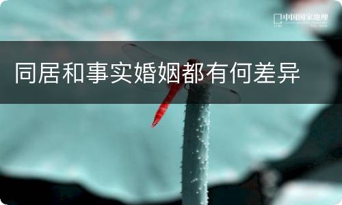 同居和事实婚姻都有何差异