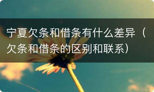 宁夏欠条和借条有什么差异（欠条和借条的区别和联系）