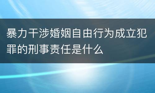 暴力干涉婚姻自由行为成立犯罪的刑事责任是什么