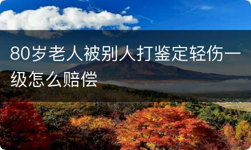 80岁老人被别人打鉴定轻伤一级怎么赔偿