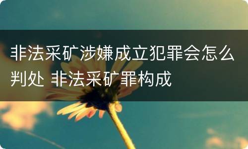 非法采矿涉嫌成立犯罪会怎么判处 非法采矿罪构成