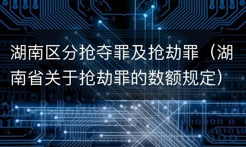 湖南区分抢夺罪及抢劫罪（湖南省关于抢劫罪的数额规定）