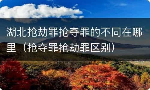 湖北抢劫罪抢夺罪的不同在哪里（抢夺罪抢劫罪区别）