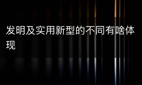发明及实用新型的不同有啥体现