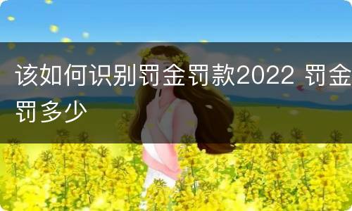 该如何识别罚金罚款2022 罚金罚多少
