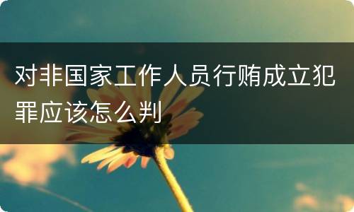 对非国家工作人员行贿成立犯罪应该怎么判