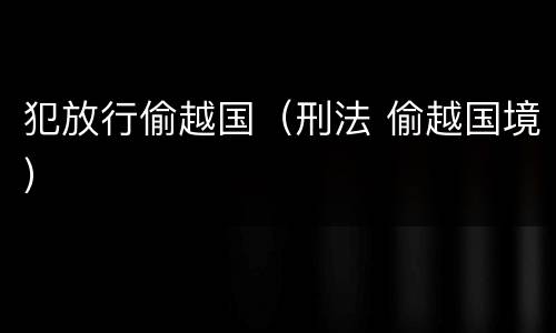 犯放行偷越国（刑法 偷越国境）